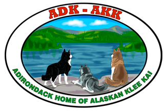 Adirondack Home of Alaskan Klee Kai